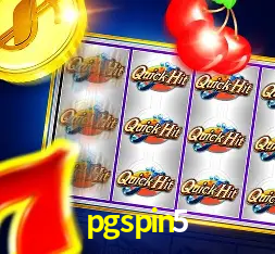 Interface Premium pgspin5