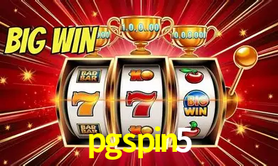 Flash Promotion pgspin5